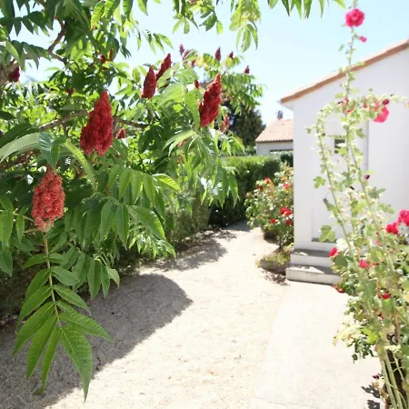 Maison De Plain-pied Avec Jardin Clos, Proche De La Et Des Commerces - Fr-1-494-58 * Saint-Georges-de-Didonne