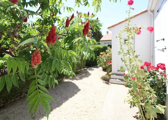 Maison De Plain-pied Avec Jardin Clos, Proche De La Et Des Commerces - Fr-1-494-58 * Saint-Georges-de-Didonne